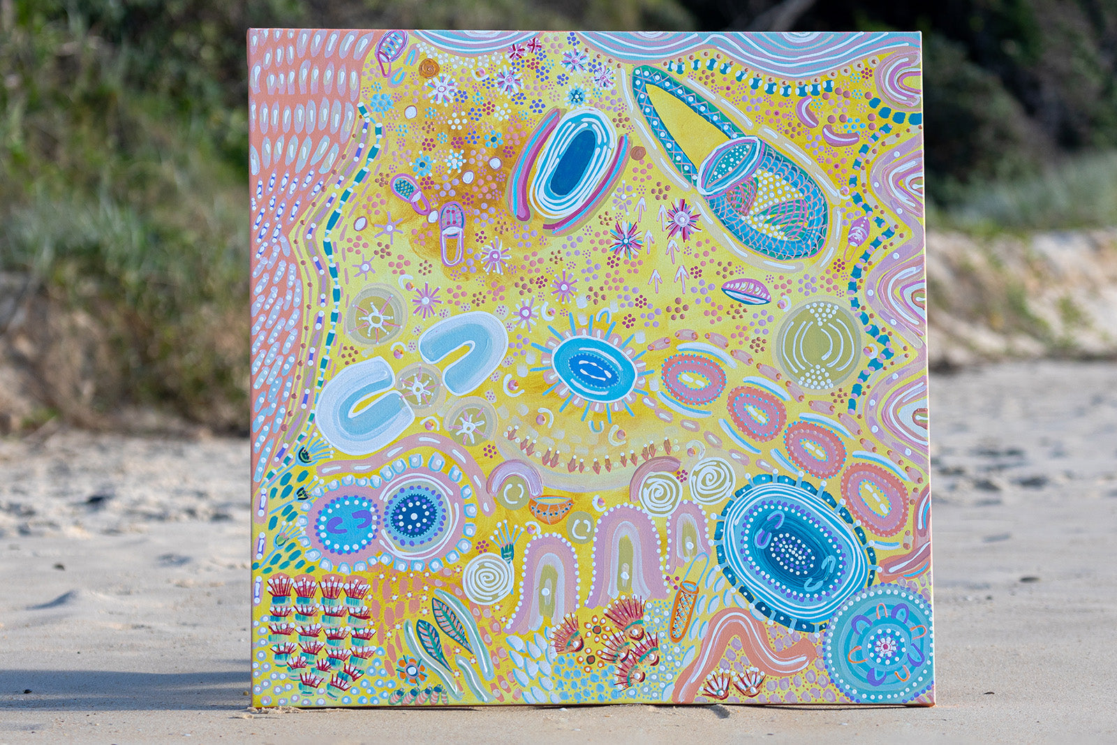 Gumbaynggirr Nyami, Original Painting